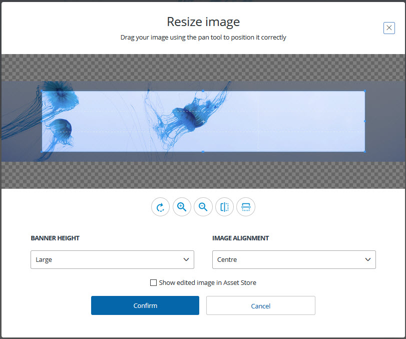 Banner image resize tool